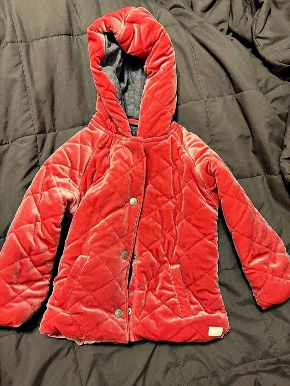7 for all Mankind Quilted Velvet Puffer Jacket Size 3t